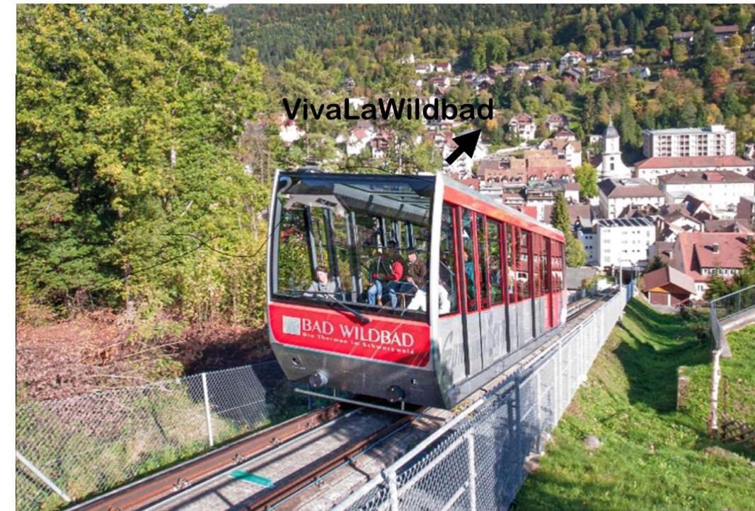 Viva La Wildbad Apartment Bad Wildbad Exterior photo